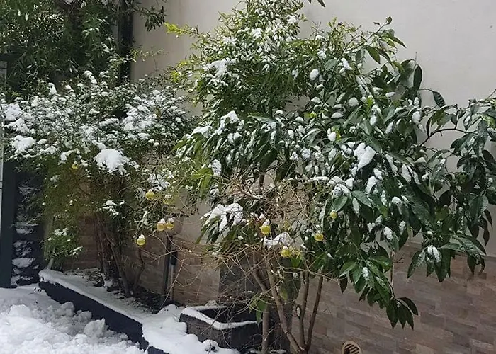 Etna Nina's Ferienhaus Linguaglossa